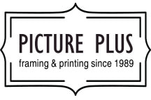 Picture Plus Logo